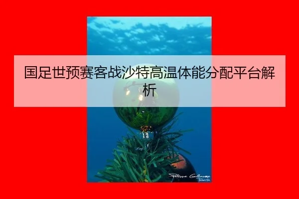 guo-zu-shi-yu-sai-ke-zhan-sha-te-gao-wen-ti-neng-fen-pei-ping-tai-jie-xi-3-975.jpg